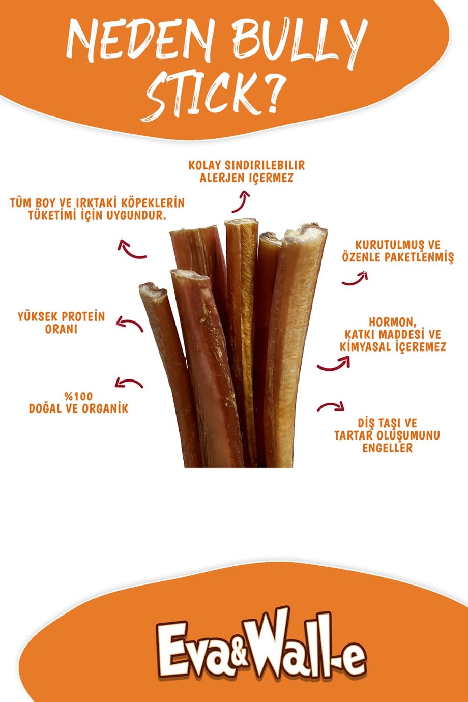 Eva and Wall-E Köpek Ödül Kemiği Kurutulmuş Bully Stick Özel Seri
