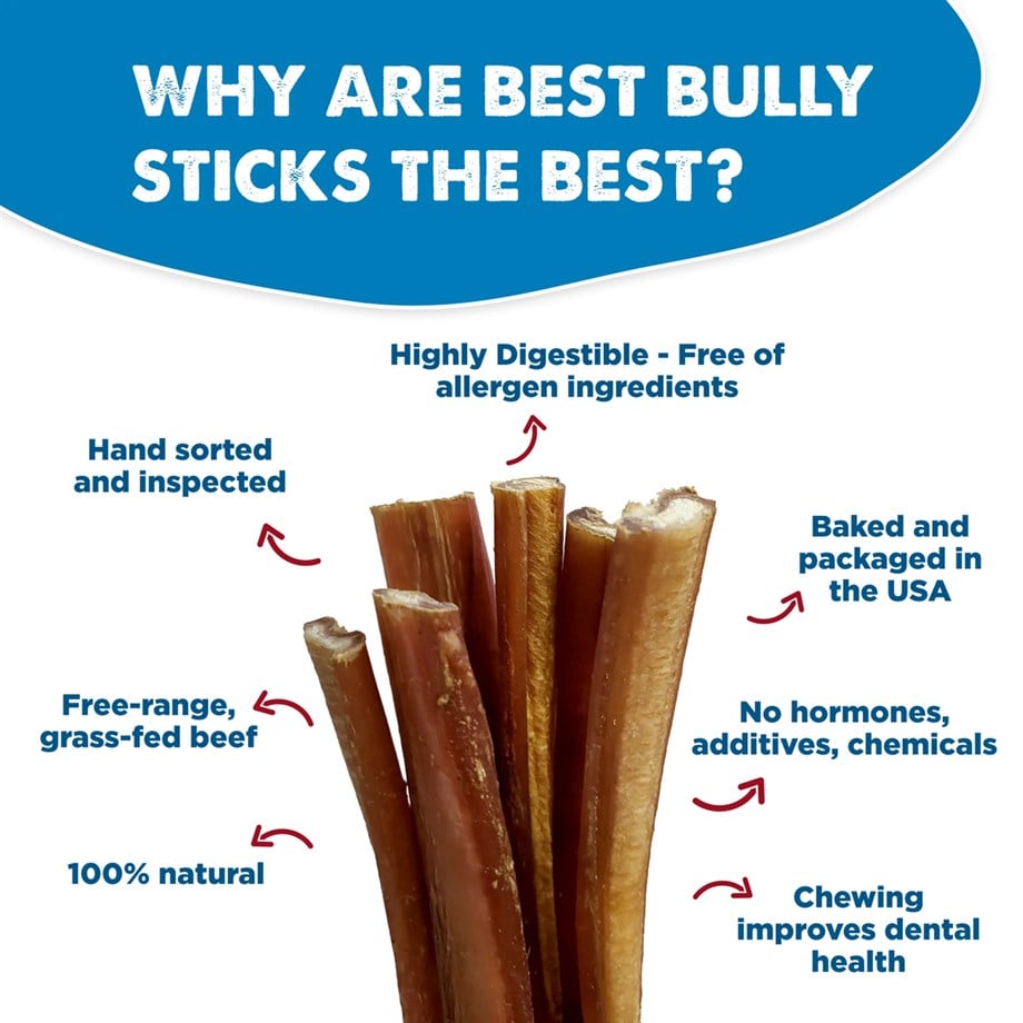 Eva and Wall-E Köpek Ödül Kemiği Kurutulmuş Bully Stick Özel Seri