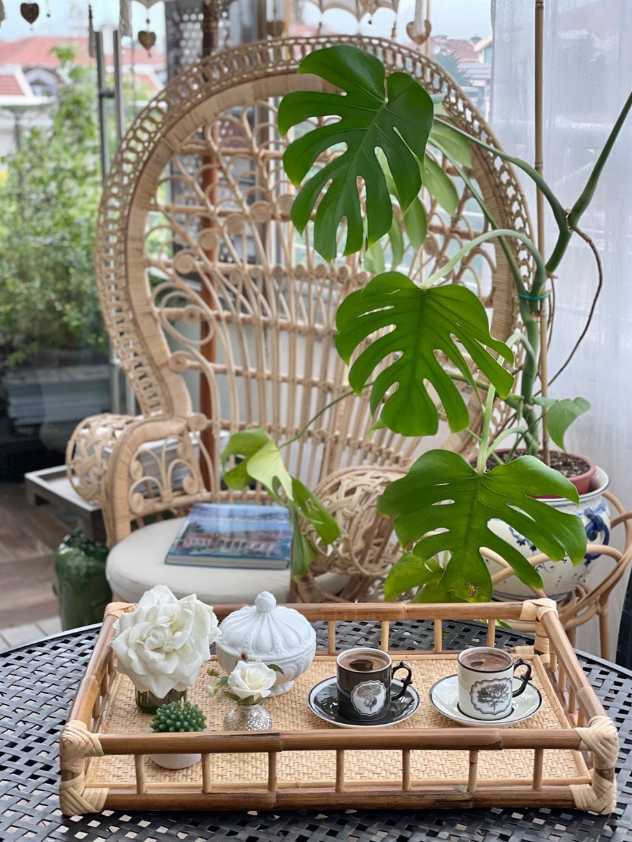 Bambu Tepsi