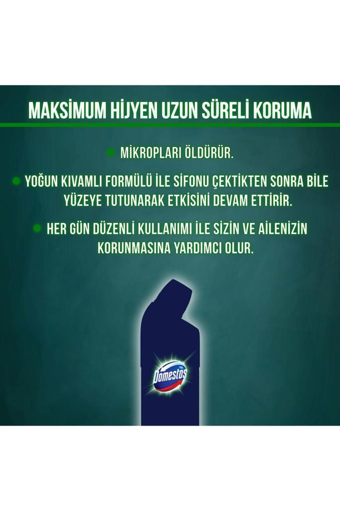 Domestos 806 GR DAĞ ESİNTİSİ