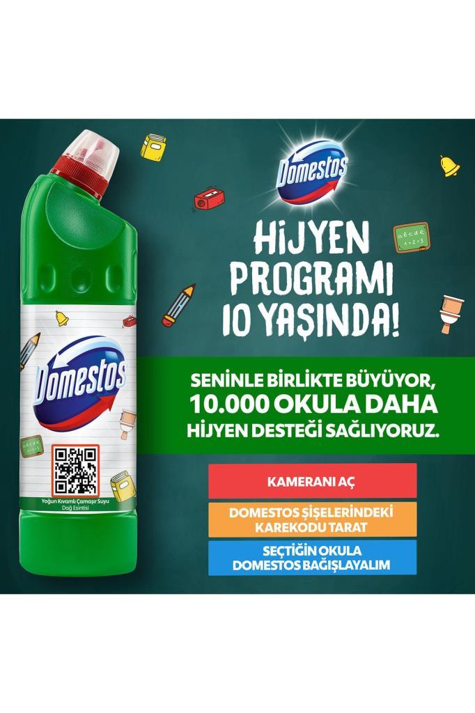 Domestos 806 GR DAĞ ESİNTİSİ