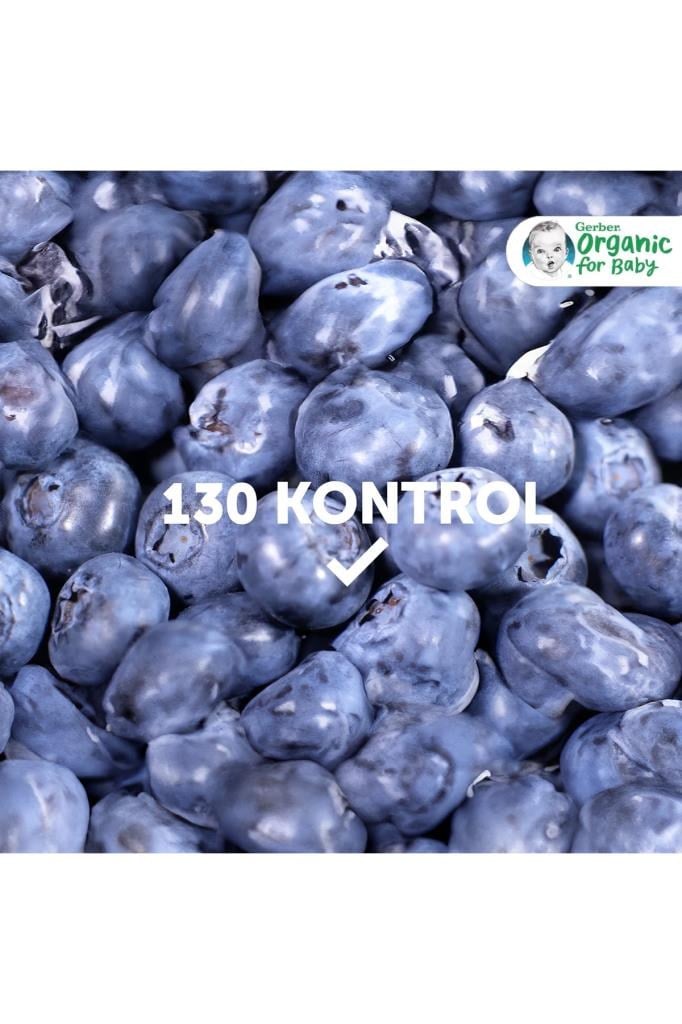 Gerber Organik Yulaflı Elma Ve Yaban Mersini Püresi 110 gr