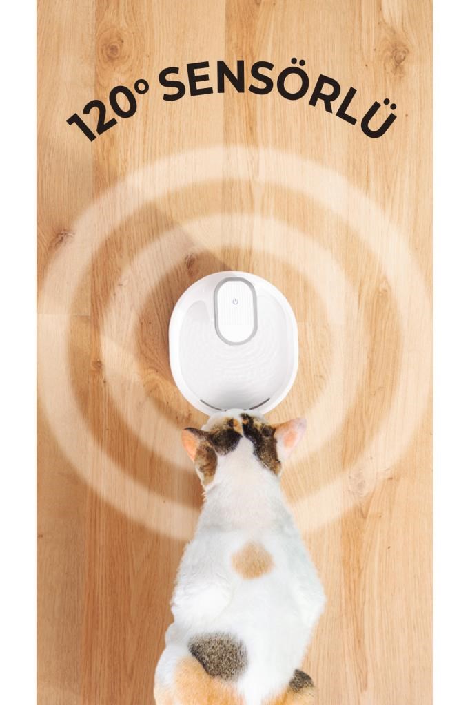 Kiwi Pets Sensörlü Kedi Köpek Su Pınarı 1 Metre Algılama Mesafeli Kpf-10559