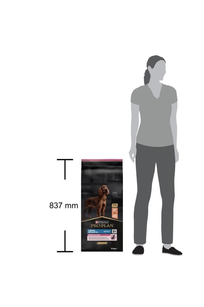 Pro Plan Büyük Irk Somonlu Yetişkin Köpek Maması 14 Kg