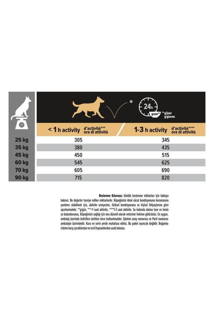 Pro Plan Büyük Irk Somonlu Yetişkin Köpek Maması 14 Kg