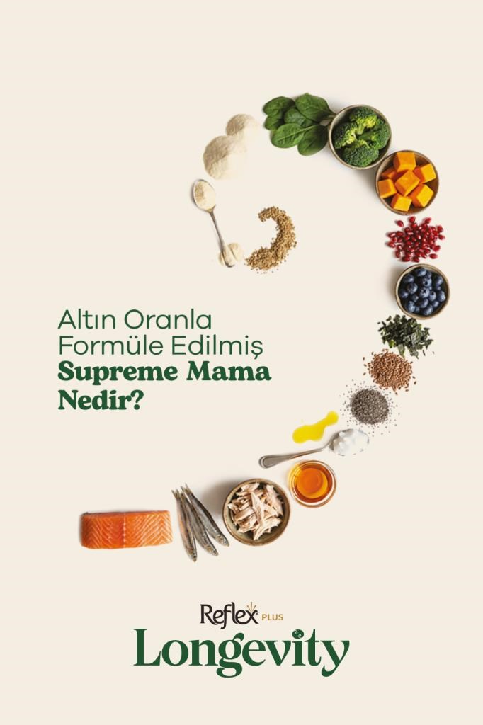 Reflex Plus Longevity Mini ve Küçük Irk Yavru Köpek Maması 1700g