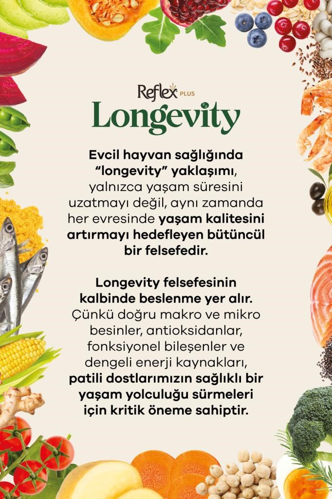 Reflex Plus Longevity Mini ve Küçük Irk Yetişkin Köpek Maması 1400g