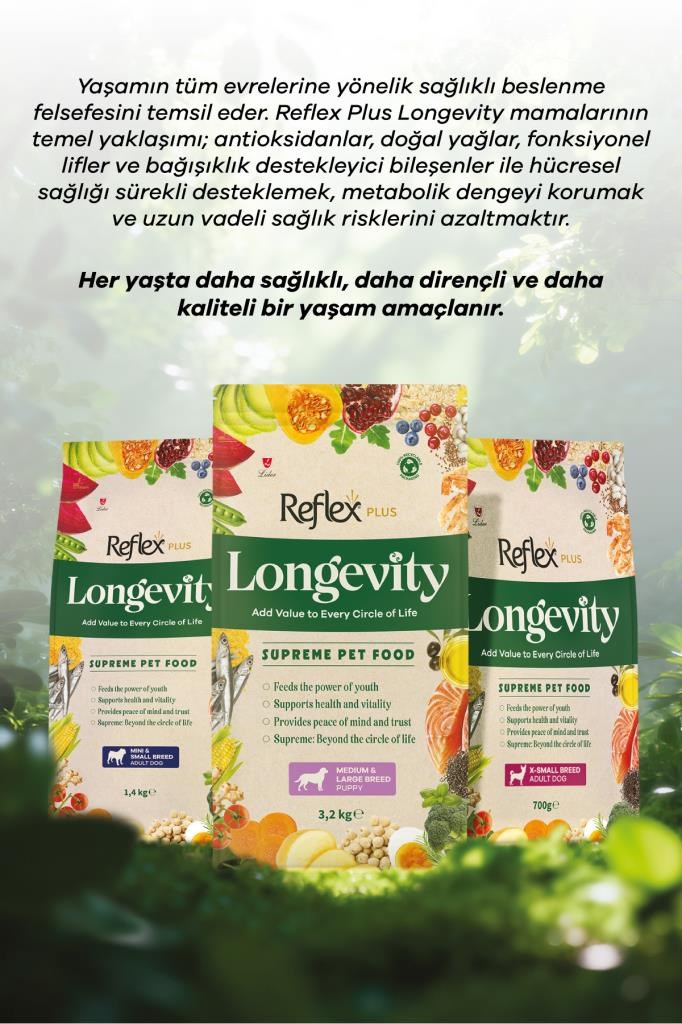 Reflex Plus Longevity Mini ve Küçük Irk Yetişkin Köpek Maması 1400g