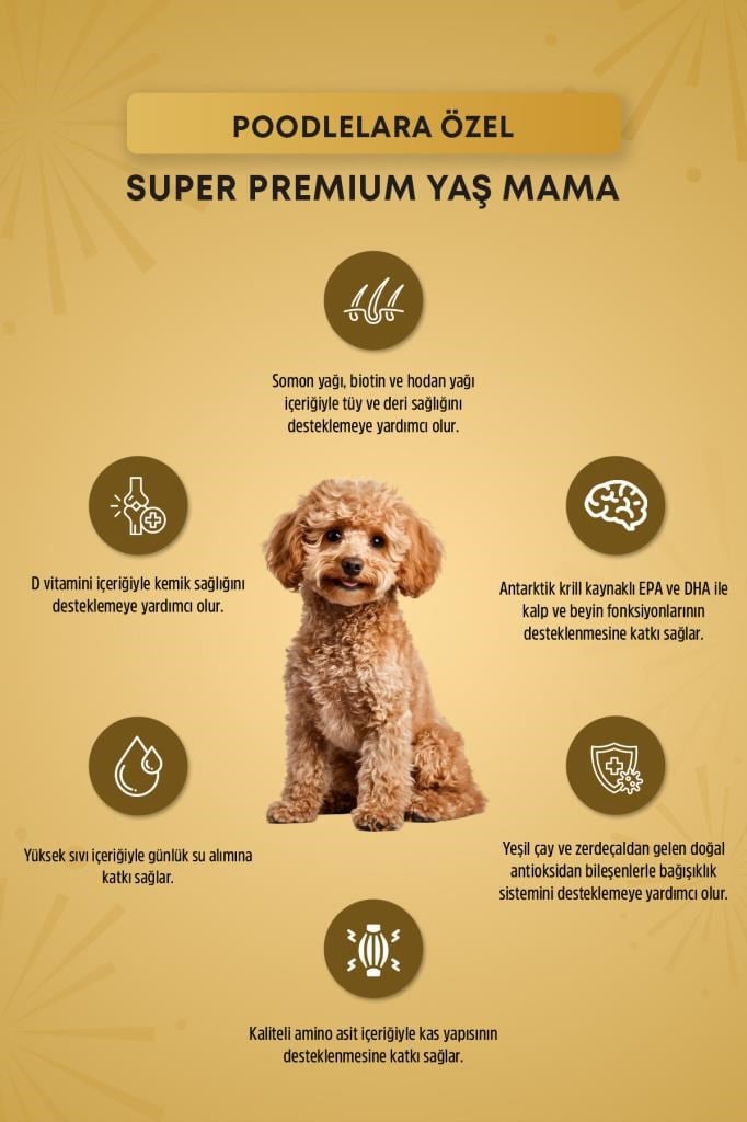 Reflex Plus Poodle Yetişkin Köpek Pouch Mama 85gr x 12 Adet