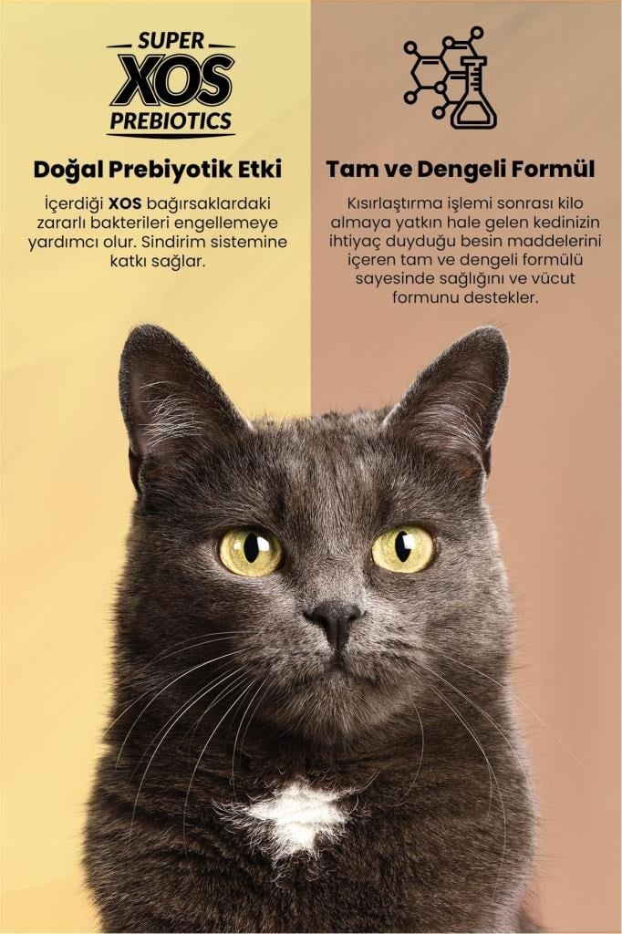 Reflex Plus Tavuklu Kısırlaştırılmış Kedi Maması-1,5 Kg