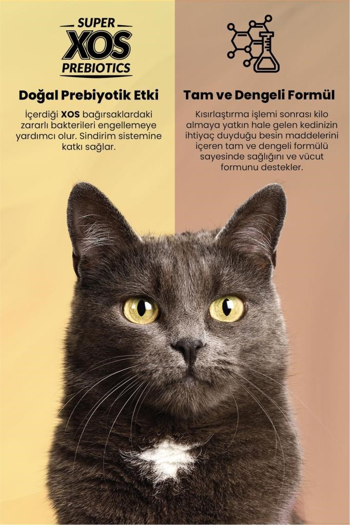 Reflex Plus Tavuklu Kısırlaştırılmış Kedi Maması-1,5 Kg
