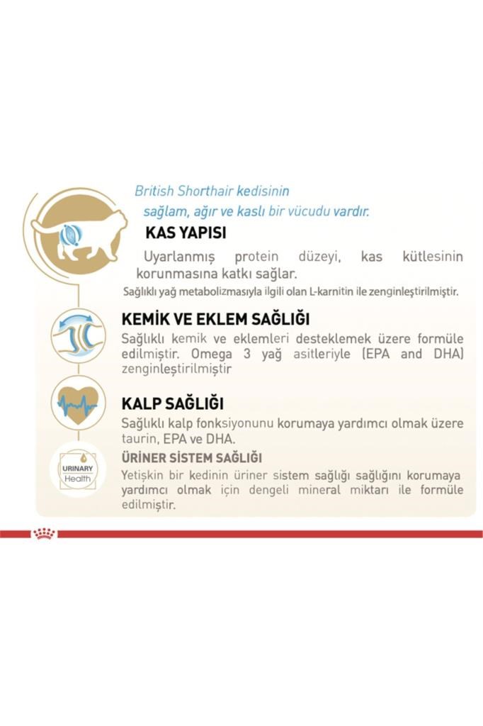 Royal Canin British Shorthair Için Kuru Kedi Maması 10kg
