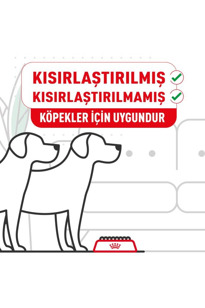 Royal Canin Cavalier King Charles 27 Yetişkin Köpek Maması 3 kg