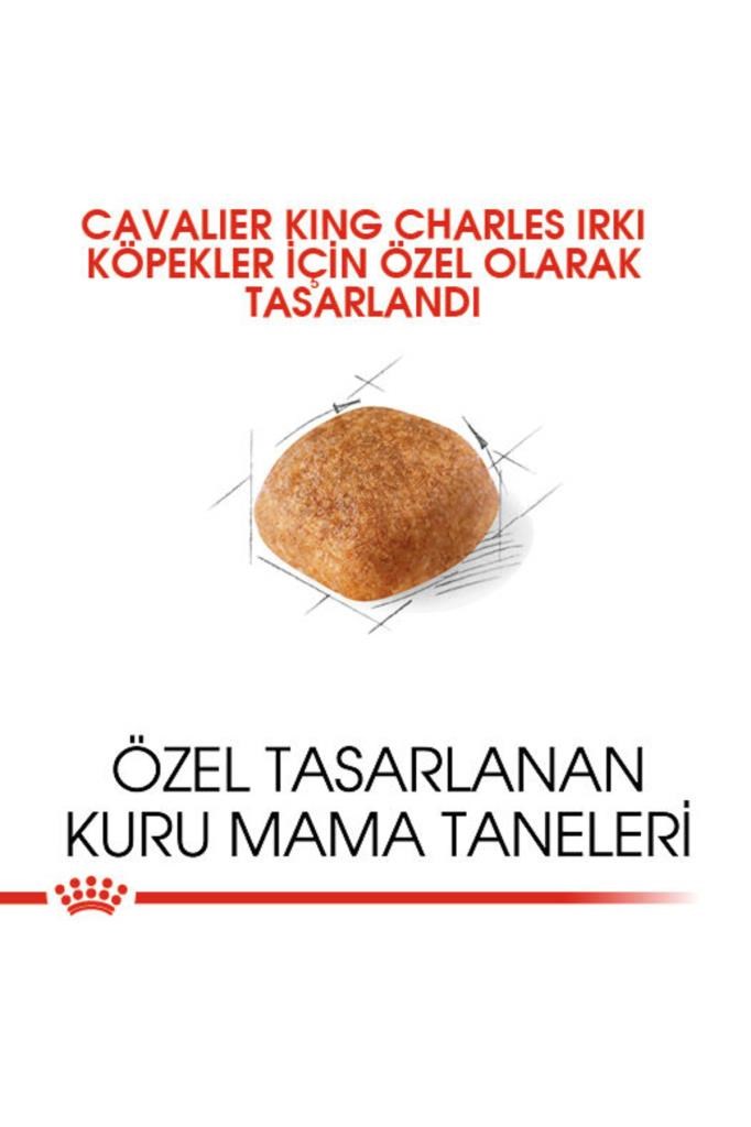 Royal Canin Cavalier King Charles 27 Yetişkin Köpek Maması 3 kg