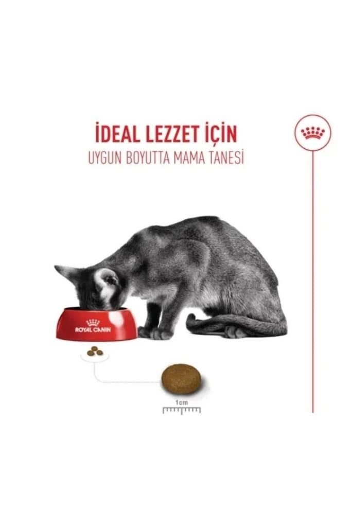 Royal Canin Fussy Exigent Seçici Yetişkin Kedi Maması 4 Kg