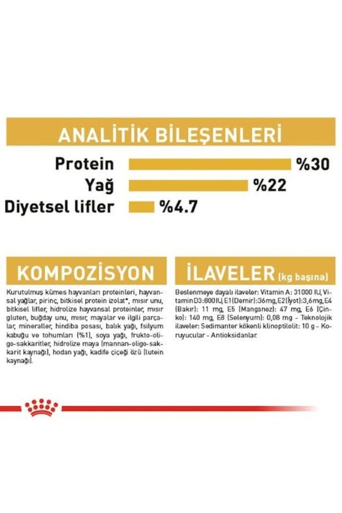 Royal Canin İran Kedisi Için Yetişkin Kedi Maması 10kg