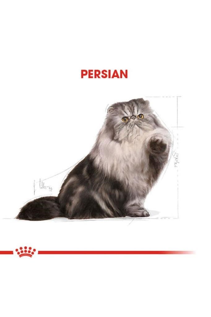 Royal Canin İran Kedisi Için Yetişkin Kedi Maması 10kg