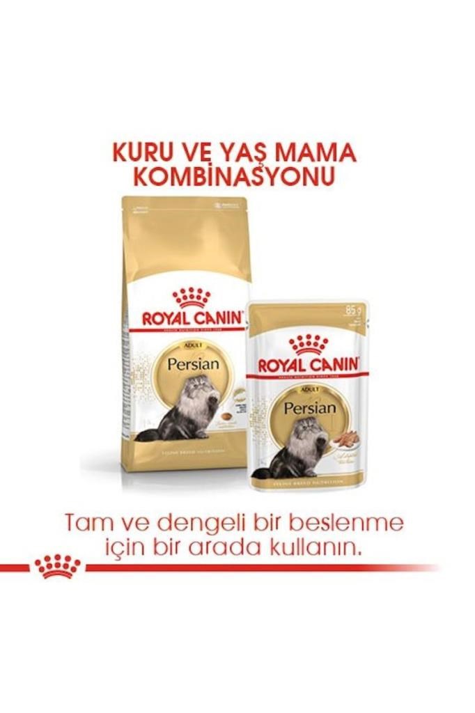 Royal Canin İran Kedisi Için Yetişkin Kedi Maması 10kg
