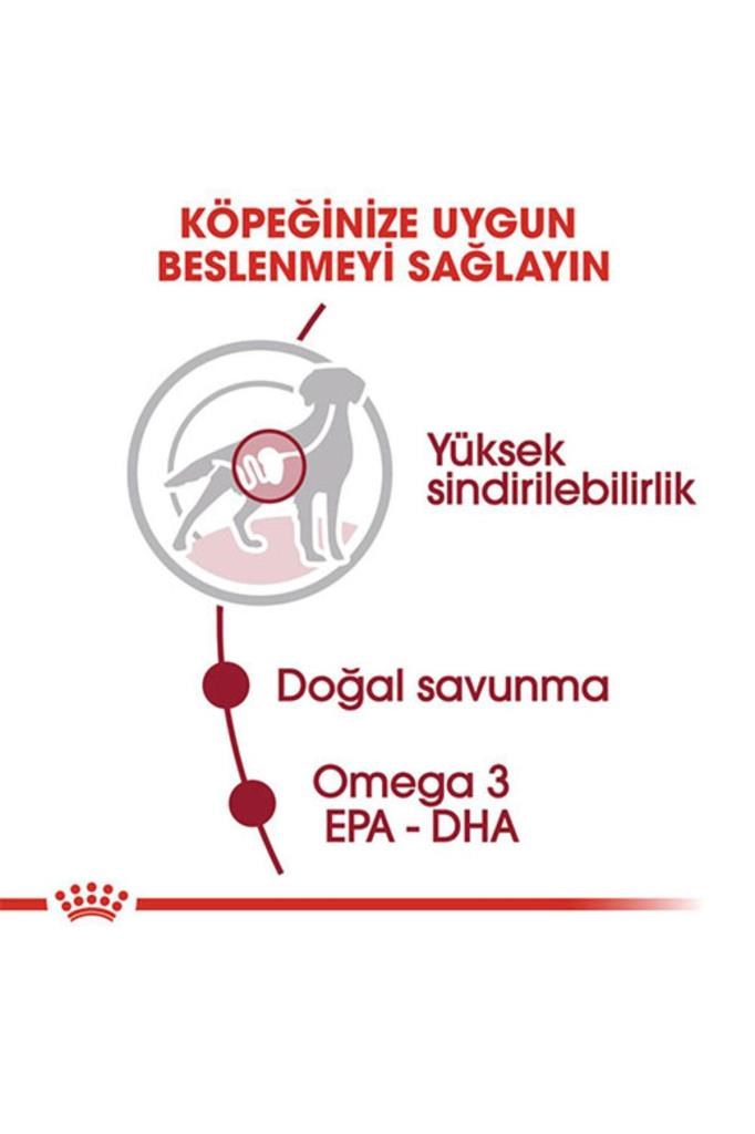 Royal Canin Medium Adult Gravy Yetişkin Köpek Konservesi 10 Adet 140 gr