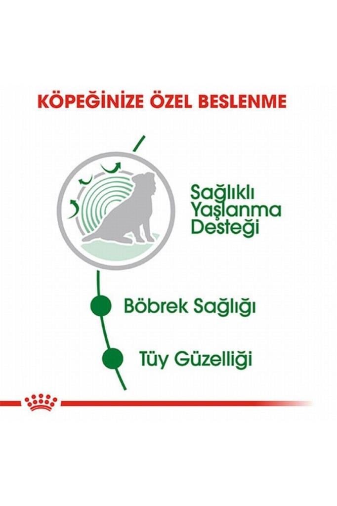 Royal Canin Mini Ageing 12 Pouch Yaşlı Köpek Konservesi 12 Adet 85 gr