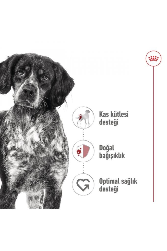 Royal Canin Orta Irklar Için Yaş Konserve Köpek Maması 410g