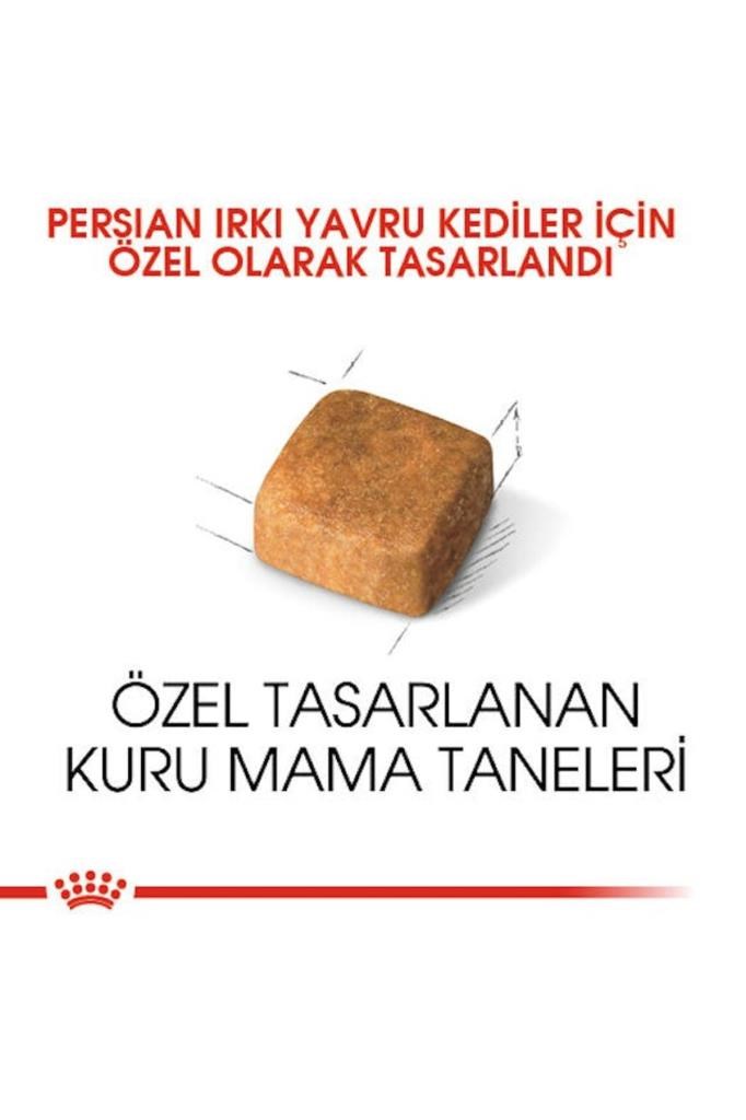 Royal Canin Persian Kitten Iran Yavru Kedi Maması 2 Kg