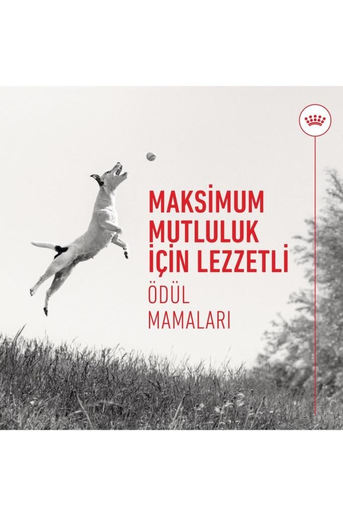 Royal Canin Training Treats Köpekler İçin Eğitim Amaçlı Ödül Maması 110g