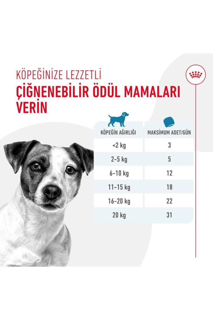 Royal Canin Training Treats Köpekler İçin Eğitim Amaçlı Ödül Maması 110g