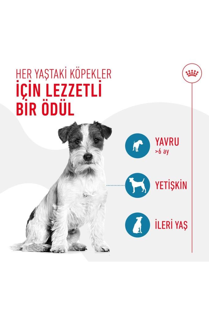 Royal Canin Training Treats Köpekler İçin Eğitim Amaçlı Ödül Maması 110g