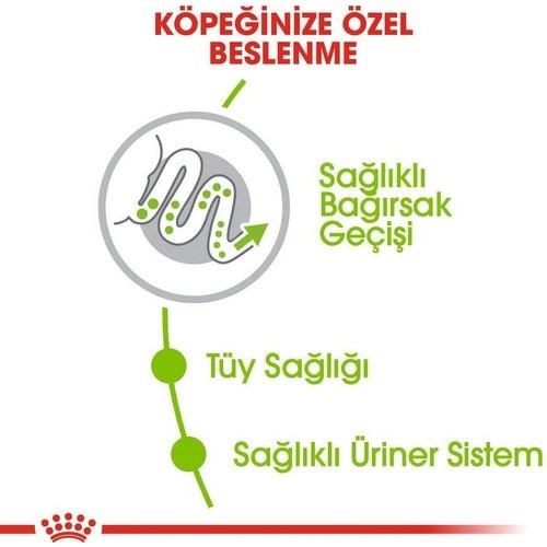 Royal Canin X-Small Küçük Irk Köpek Maması 3 Kg