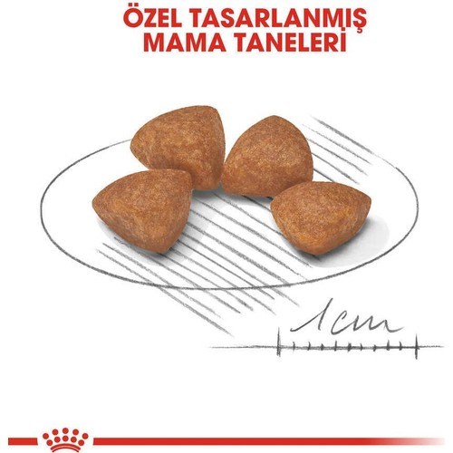 Royal Canin X-Small Puppy Küçük Irk Yavru Köpek Maması 3 Kg