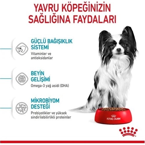 Royal Canin X-Small Puppy Küçük Irk Yavru Köpek Maması 3 Kg