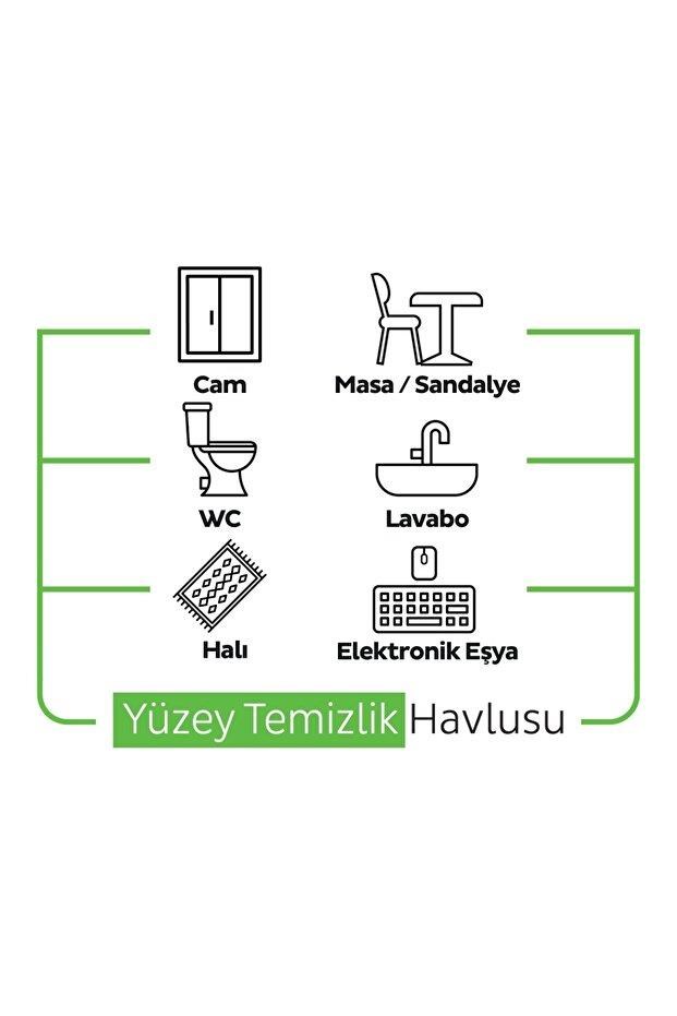 Sleepy Doğa Serisi Yüzey Temizlik Havlusu&Mendili Çam&Okyanus&Dağ Esintisi 3x100 (300 Yaprak)
