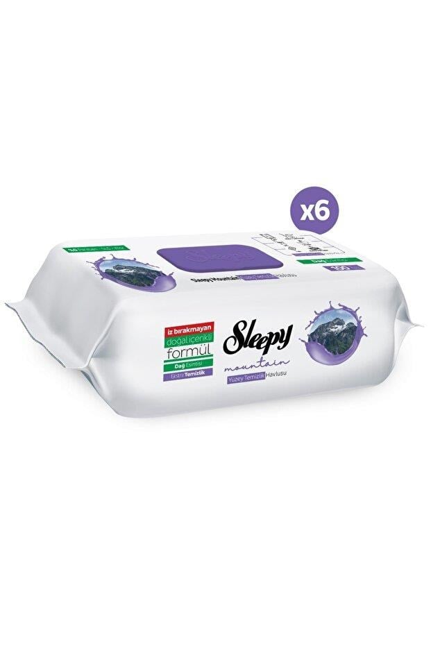Sleepy Mountain Yüzey Temizlik Havlusu&Mendili Dağ Esintisi 6x100 (600 Yaprak)