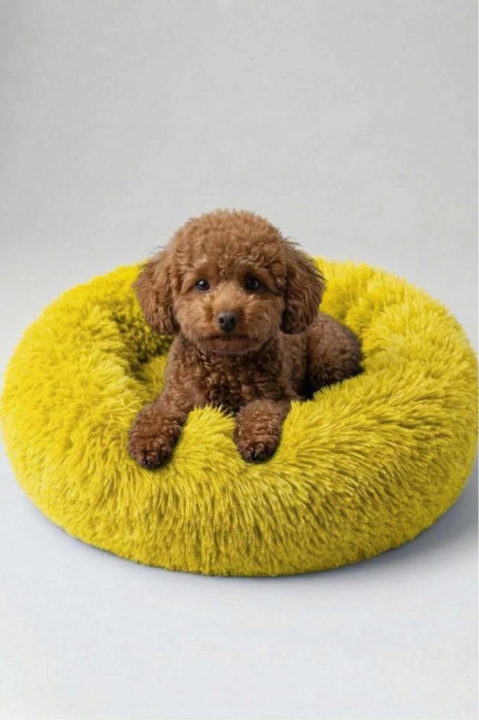 United Colors of Benetton BNTMKT-0012-YE Uzun Kürklü Donut Kedi&Köpek Yatağı SARI 45 CM