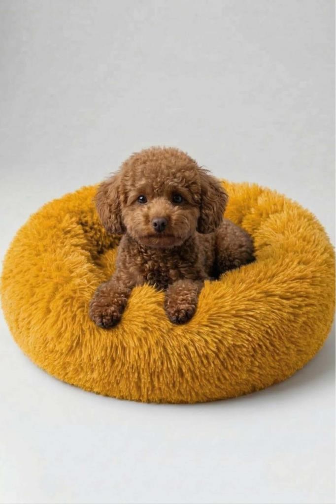 United Colors of Benetton BNTMKT-0012-OR Uzun Kürklü Donut Kedi&Köpek Yatağı Turuncu 45 CM