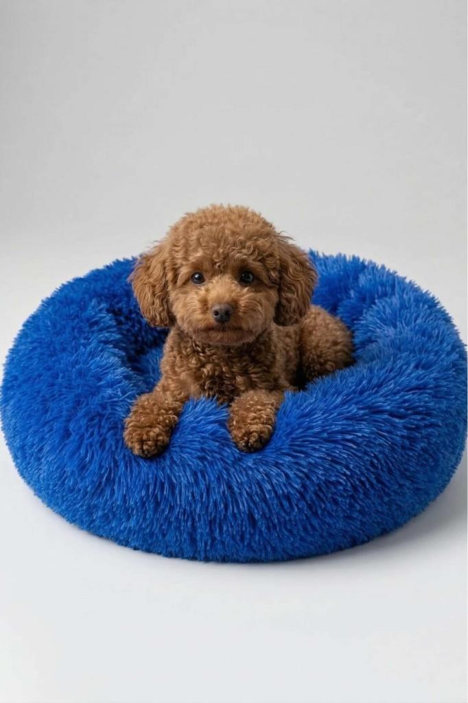 United Colors of Benetton BNTMKT-0012-BL Uzun Kürklü Donut Kedi&Köpek Yatağı Mavi 45 CM