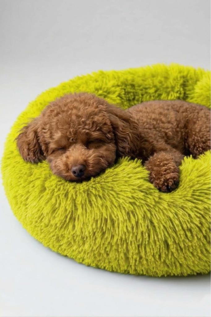 United Colors of Benetton BNTMKT-0012-YE Uzun Kürklü Donut Kedi&Köpek Yatağı SARI 45 CM