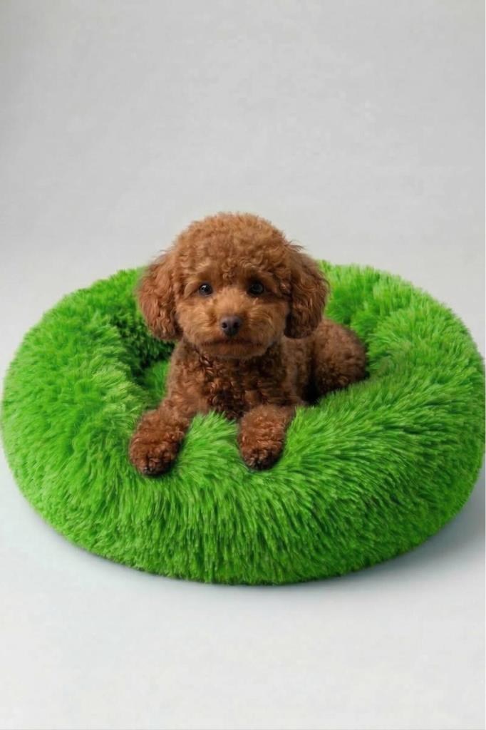 United Colors of Benetton BNTMKT-0012-2-GR Uzun Kürklü Donut Kedi&Köpek Yatağı Yeşil 55 CM