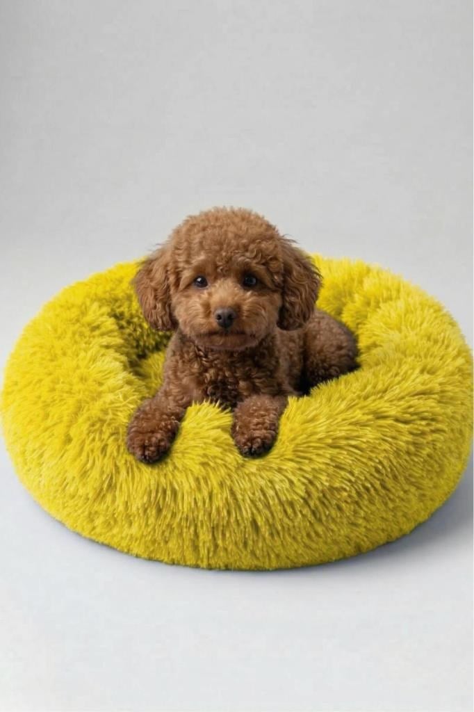 United Colors of Benetton BNTMKT-0012-2-YE Uzun Kürklü Donut Kedi&Köpek Yatağı SARI 55 CM