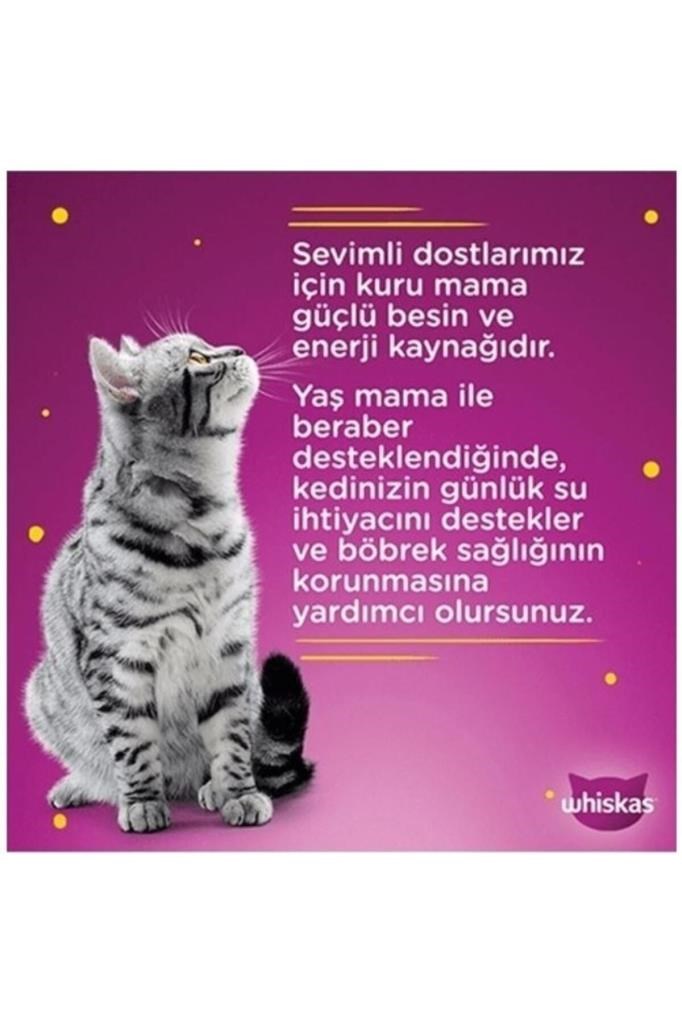Whiskas Sığırlı Pure Delight Yetişkin Kedi Yaş Maması 28x85 gr