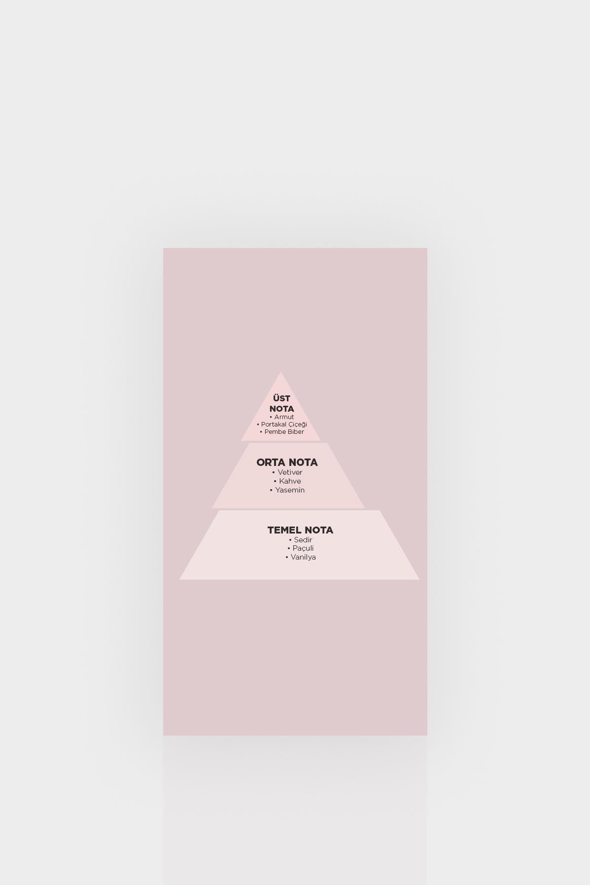 Lufian Alberta Kadın Parfüm Standart