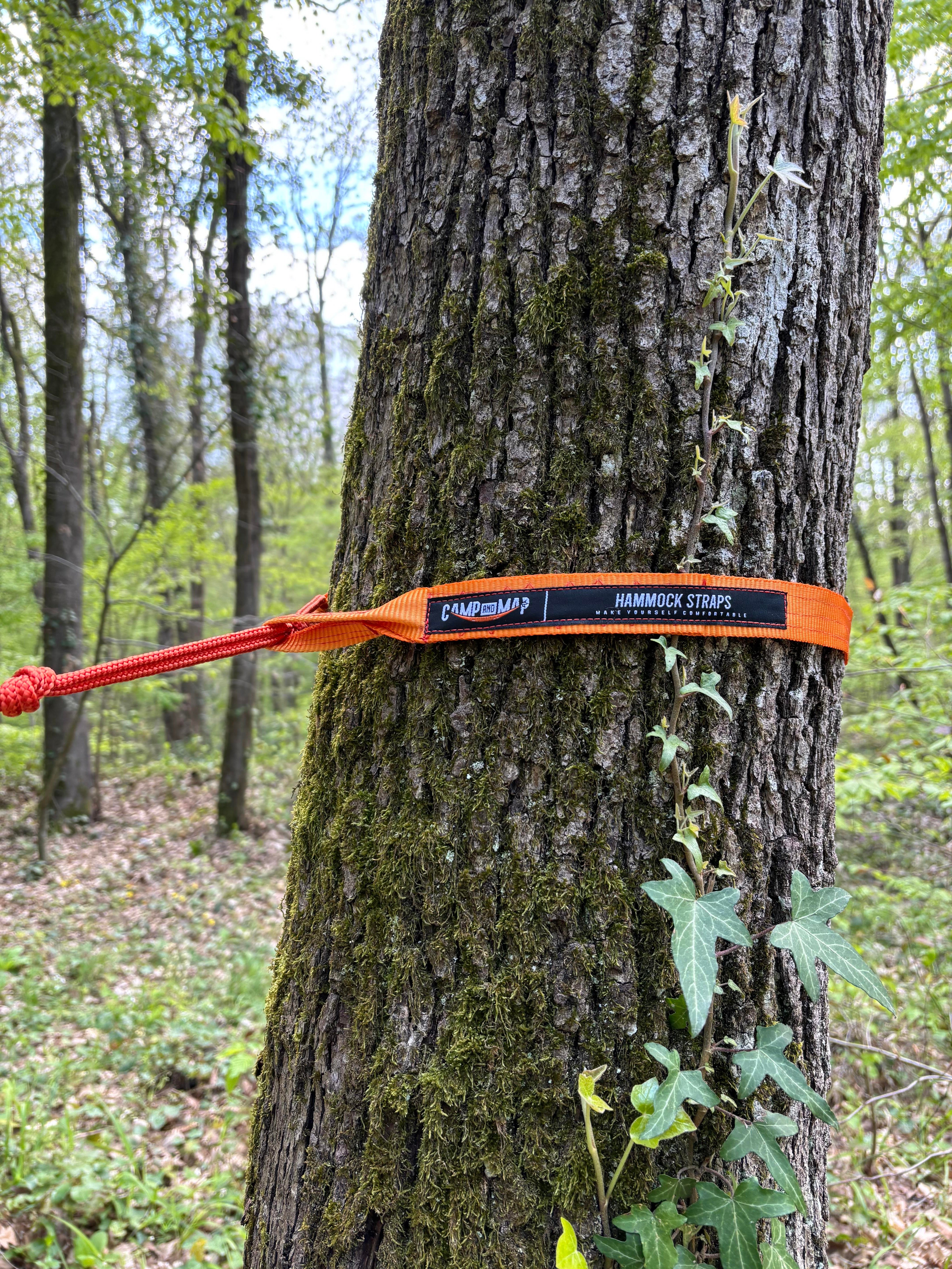 Starps turuncu CAMPANDMAPTuruncu straps 