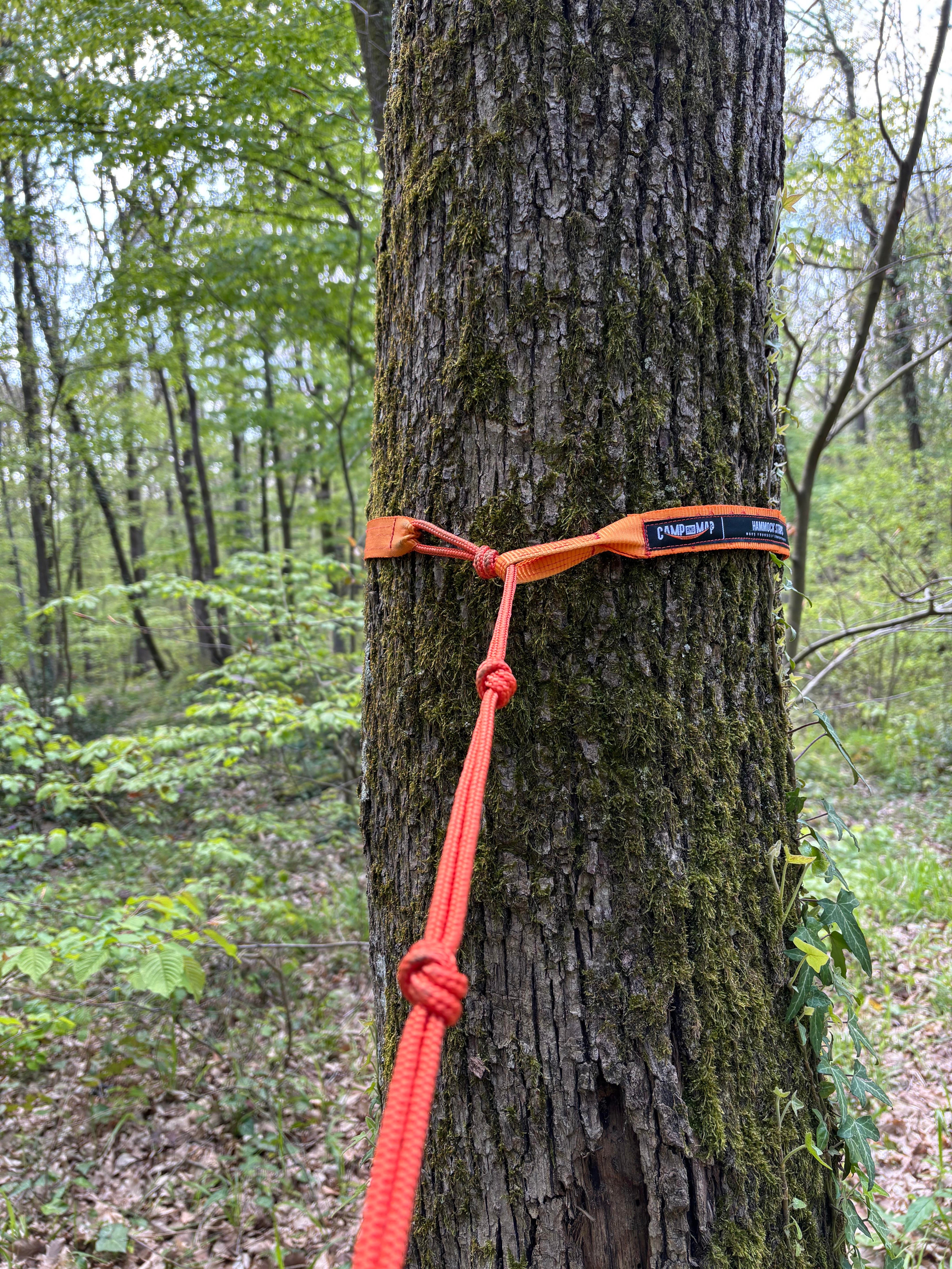 Starps turuncu CAMPANDMAPTuruncu straps 