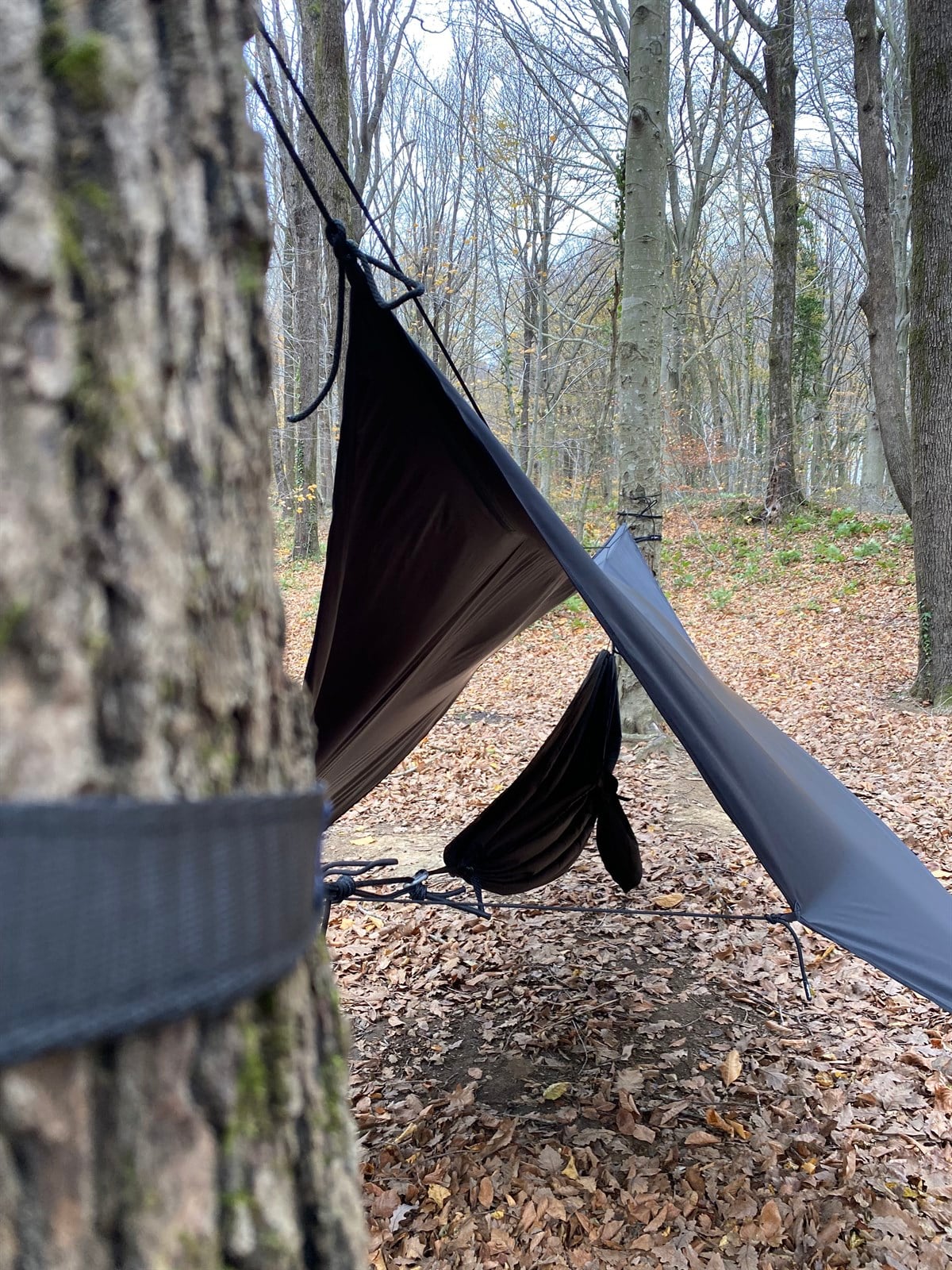 Trigon TarpCAMPANDMAPTrigon Tarp