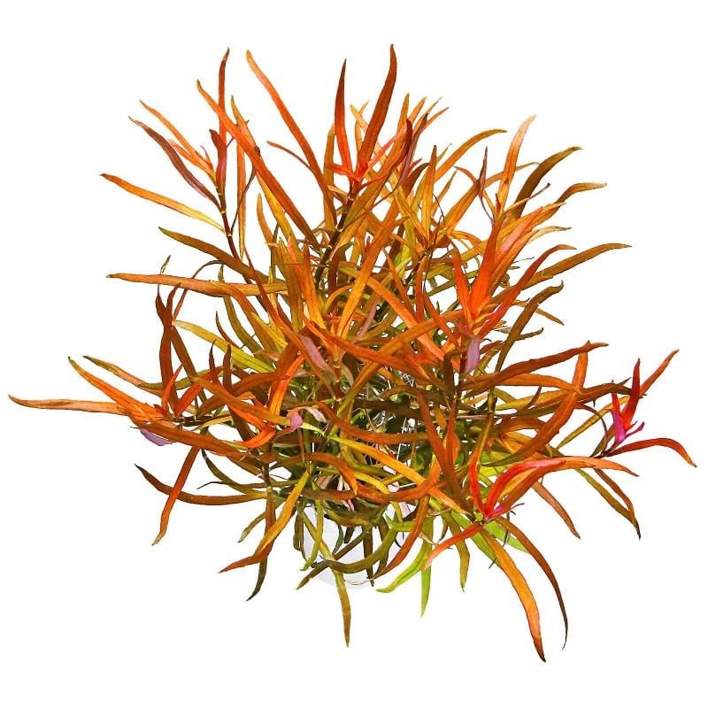 11b088