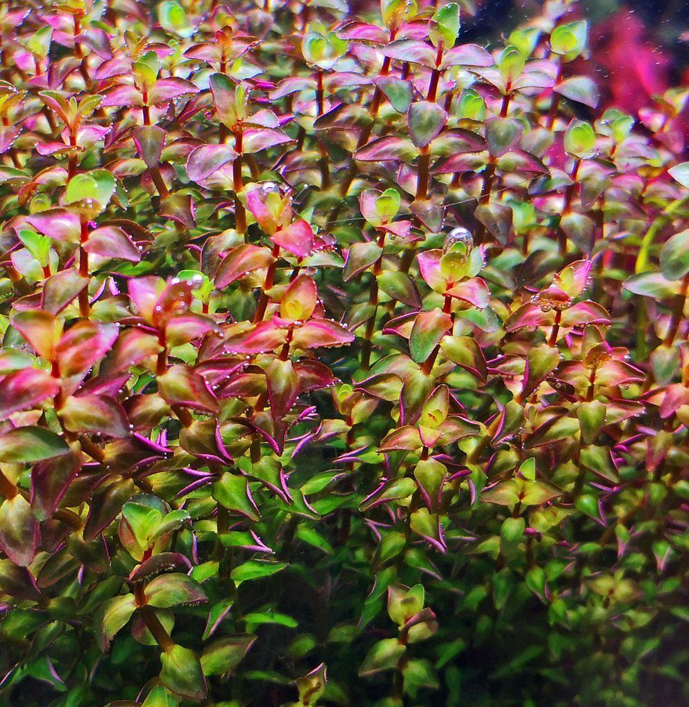 11B306