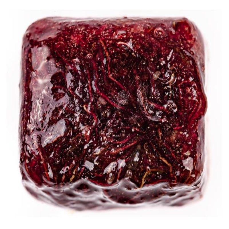 3F FROZEN BLOODWORMS KAN KURDU 100 GR8714558001014