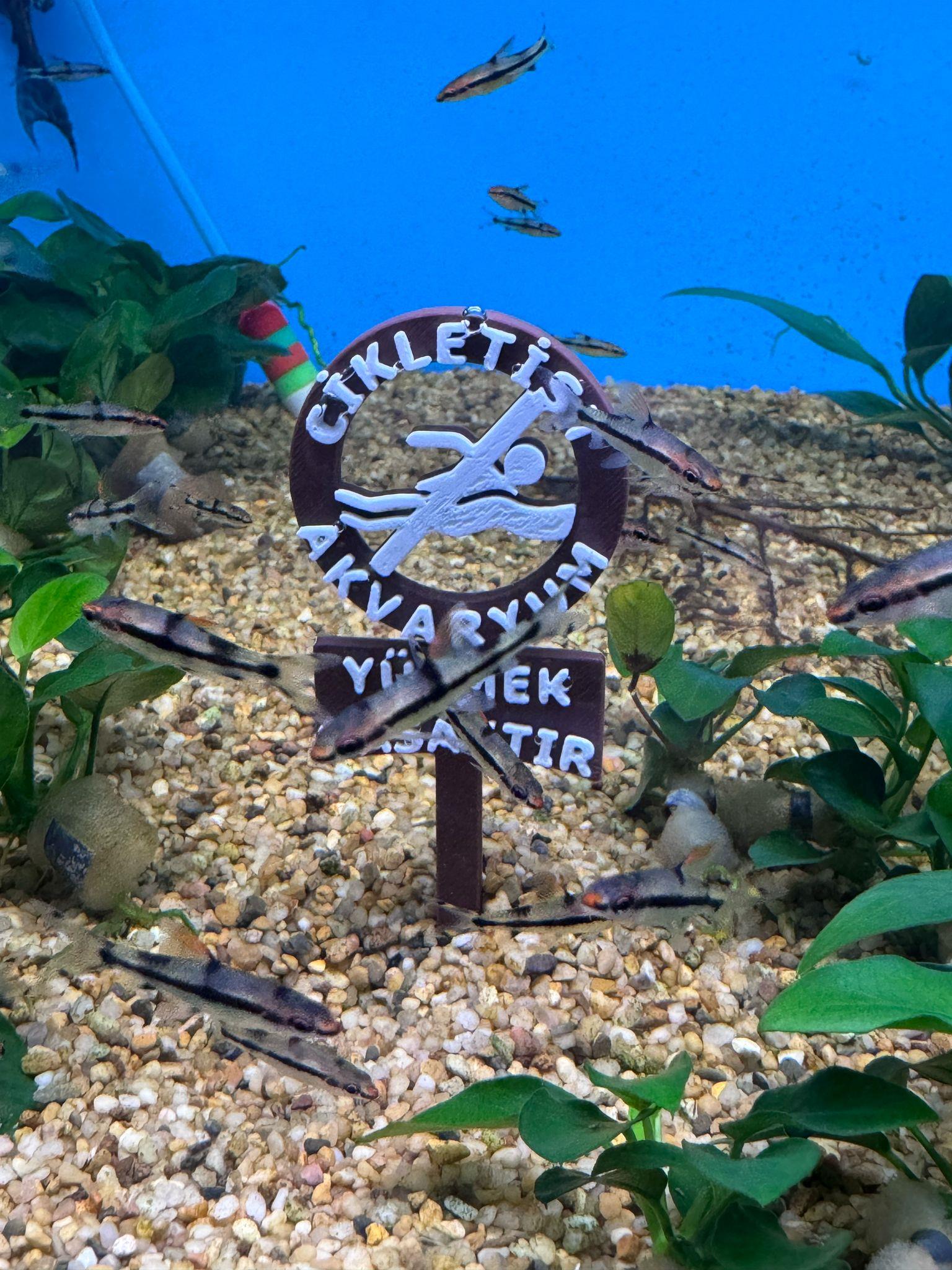 AKVARYUM TABELA DEKORLARITBL