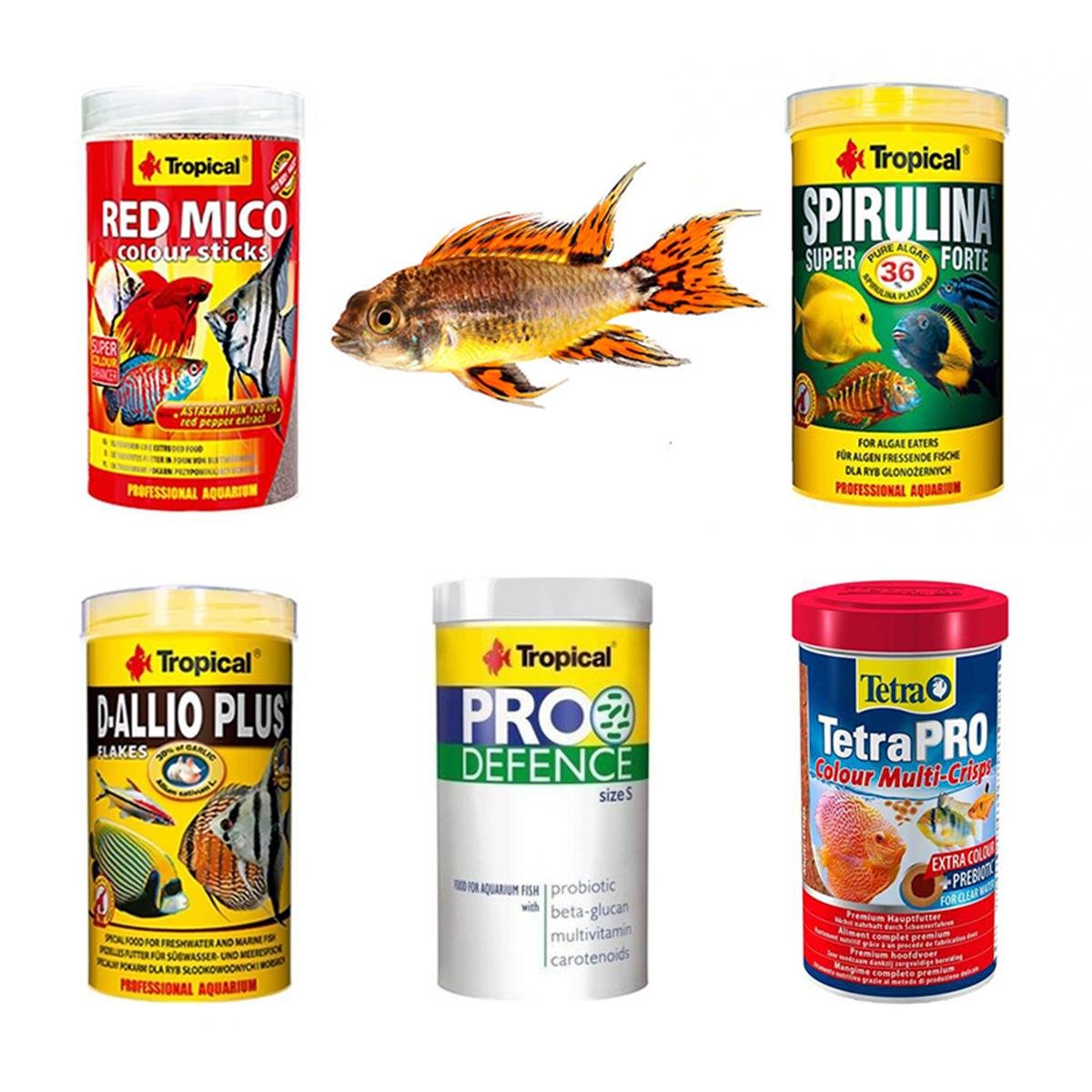 Apisto Balıklarına Özel Yem Paketi (AÇIK YEM)Apistopaket